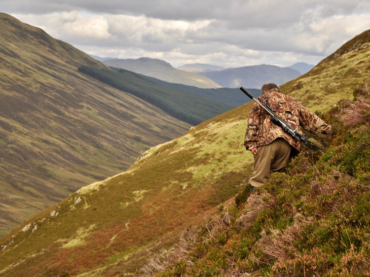 How Thermal Cameras Can Aid in Hunting